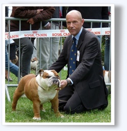 Cliquez pour agrandir l'image