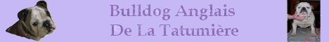La Tatumi�re