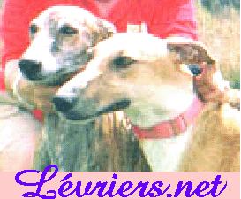 l�vriers.net