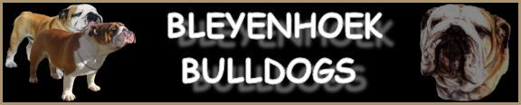 Bleyenhoek Bulldogs