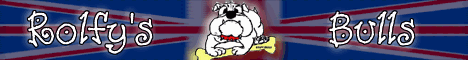 Rolfy's bulls