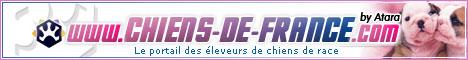 Chiens de France  Union des �leveurs de chiens de race