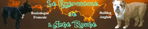 Le cr�puscule de l'Ange Rouge
