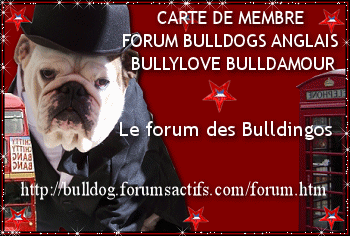Acc�der au forum