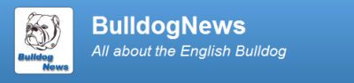 Willkommen BulldogNews