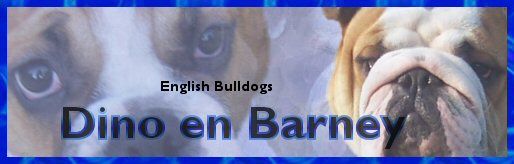 Bienvenue sur le site de  Dino , Barney , Freddy, Bailey et Clarence