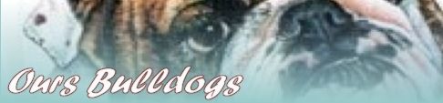 Ours Bulldogs